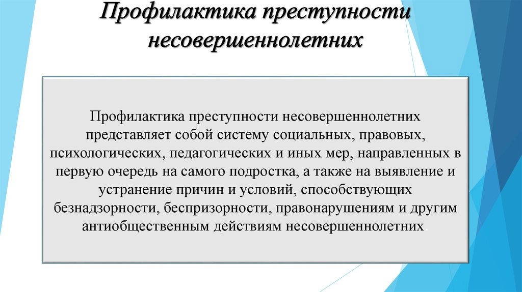 Противодействие преступности несовершеннолетних.