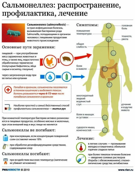 Важные меры профилактики сальмонеллеза.